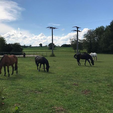 Pferdehof Dietzsch, Tittmoning Bagian luar foto