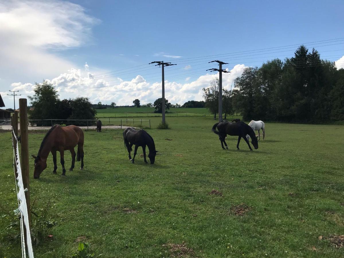 Pferdehof Dietzsch, Tittmoning Bagian luar foto
