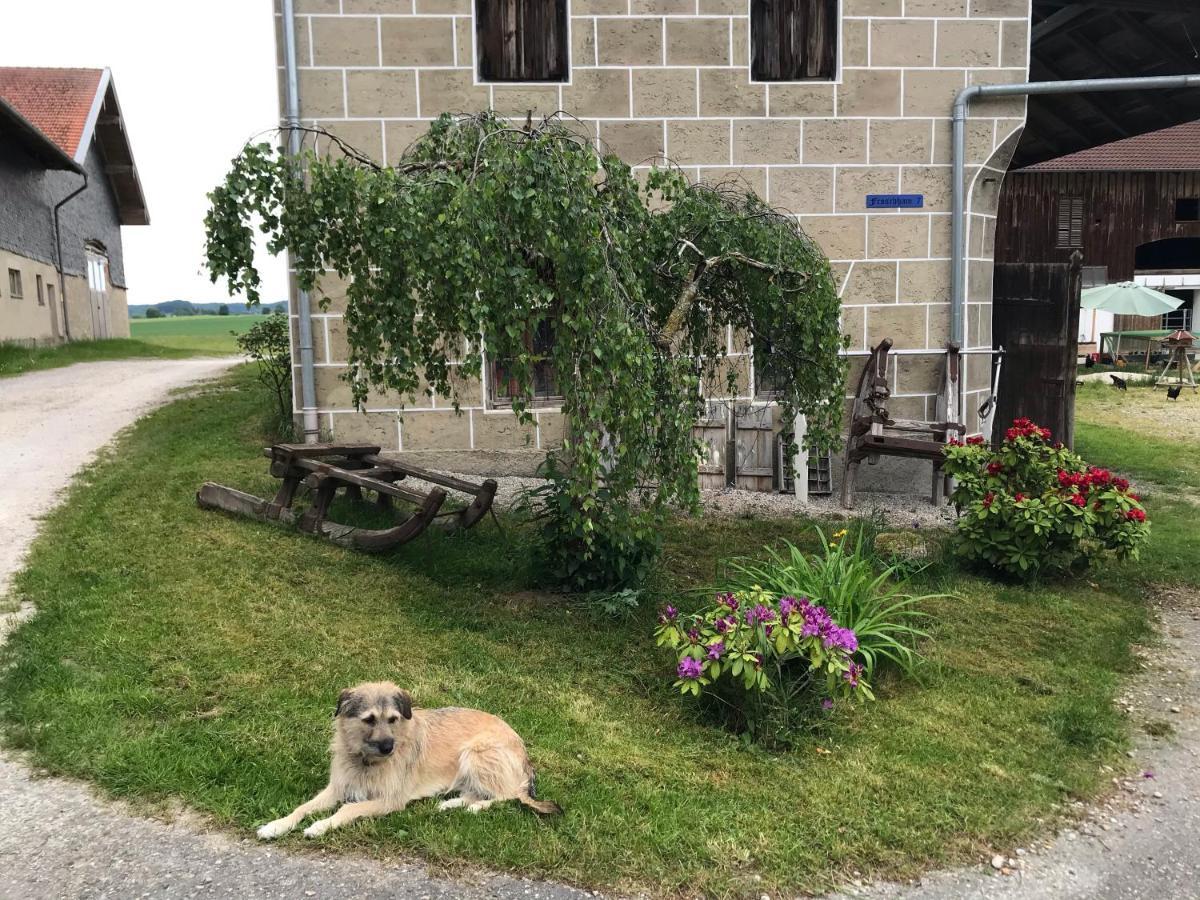 Pferdehof Dietzsch, Tittmoning Bagian luar foto